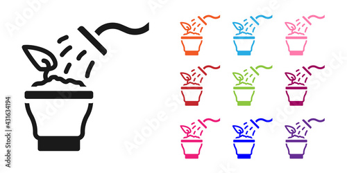 Black Spraying a house plant with a spray gun icon isolated on white background. Moistening of foliage. Care for home flowers. Set icons colorful. Vector