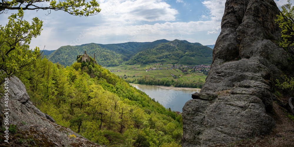 Wachaupanorama mit Ruinenblick ins Donautal