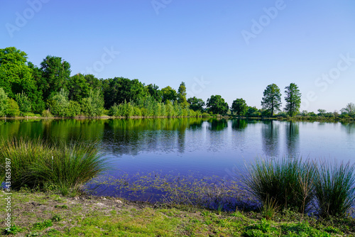 Fototapeta Naklejka Na Ścianę i Meble -  Parempuyre shore aside water lake in gironde france