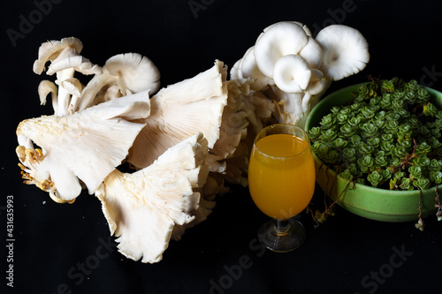 White oyster mushroom and fresh mango juice, potted succulent plant photo