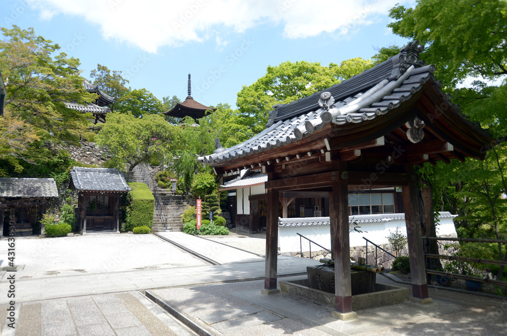 新緑の善峯寺　境内　京都市西京区