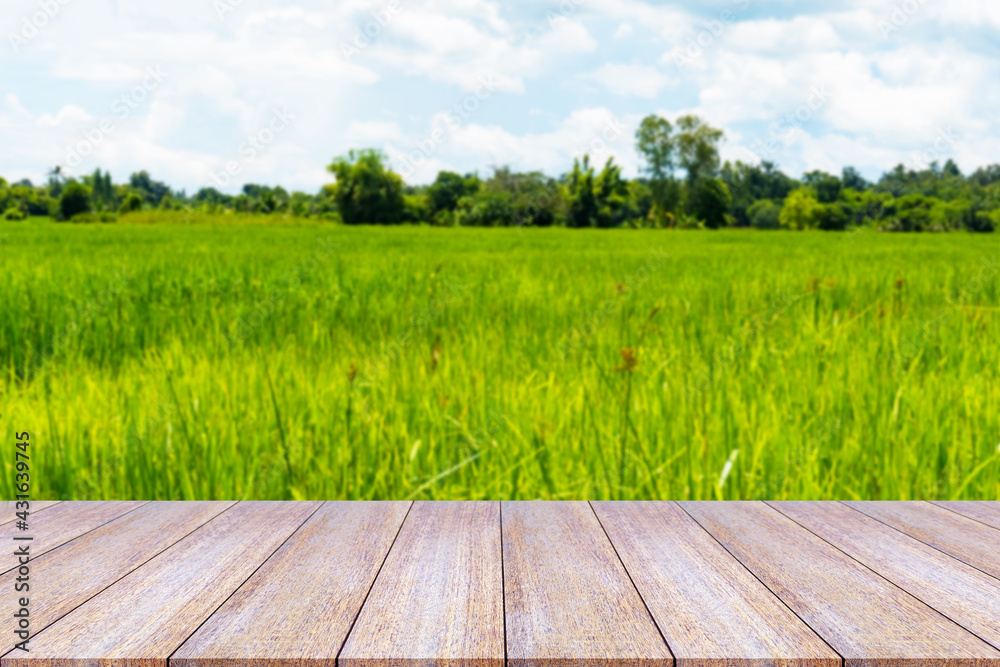 Obraz premium Empty wooden table with bokeh nature landscape (tree, green field, sky, sunlight) outdoor theme for a catering or food background, Template mock up for display of product