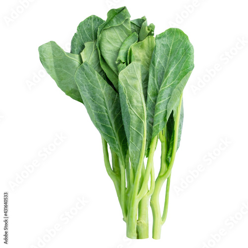 Collard green isolated on white background
