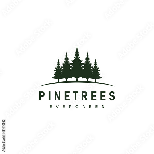 Rustic Retro Vintage pine, evergreen, spruce, conifer, cedar, coniferous, cypress, larch, fir, hemlock, pinus trees logo design