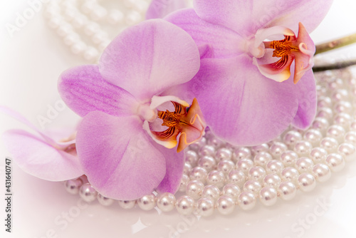 pearl and purple orchid on a white glas