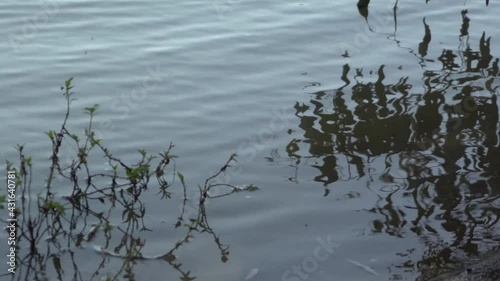 Outdoor nature river shoreline reflections waves coming in photo