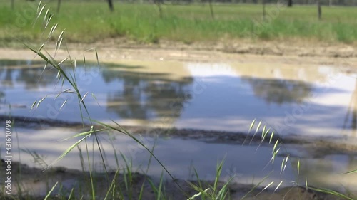 Outdoor nature car driving through muddy puddles sedan photo