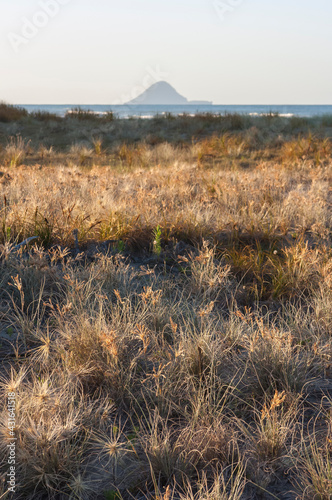 Whale Island photo