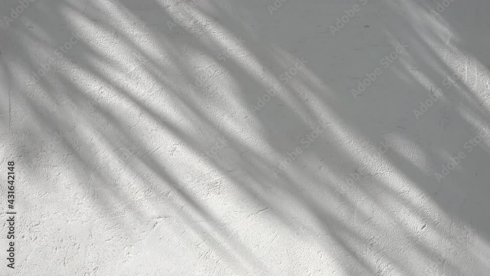 Shadow overlay effect. Blur shadows of plants and tree leaves on a white clean wall. Shadow overlay effect. Blur shadows of plants and tree leaves on a white clean wall.