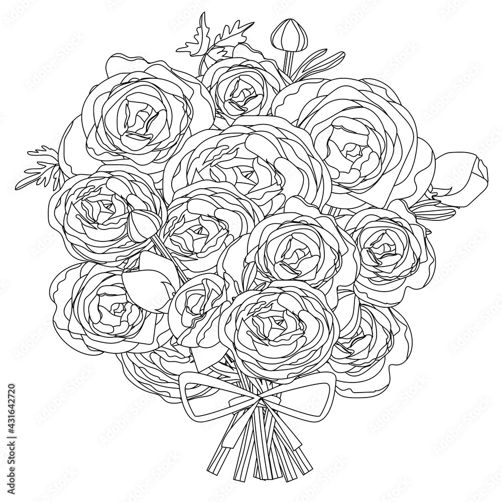 big bunch of roses isolated on white background. Linear, contour, black and white and colored version. Illustration can be used for coloring book and pictures for children big bunch of roses isolated on white background. Linear, contour, black and white and colored version. Illustration can be used for coloring book and pictures for children