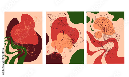 Set of abstract illustrations. Abstract shapes and botanical plants. Abstract paintings