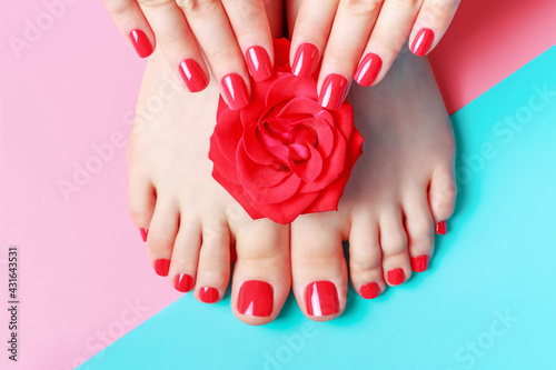 Female hands with manicure and feet with pedicure on blue and pink background.