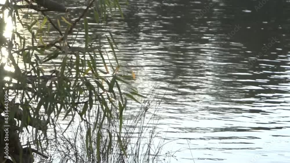 Outdoor nature sunset on river camping reflections on water Outdoor nature sunset on river camping reflections on water