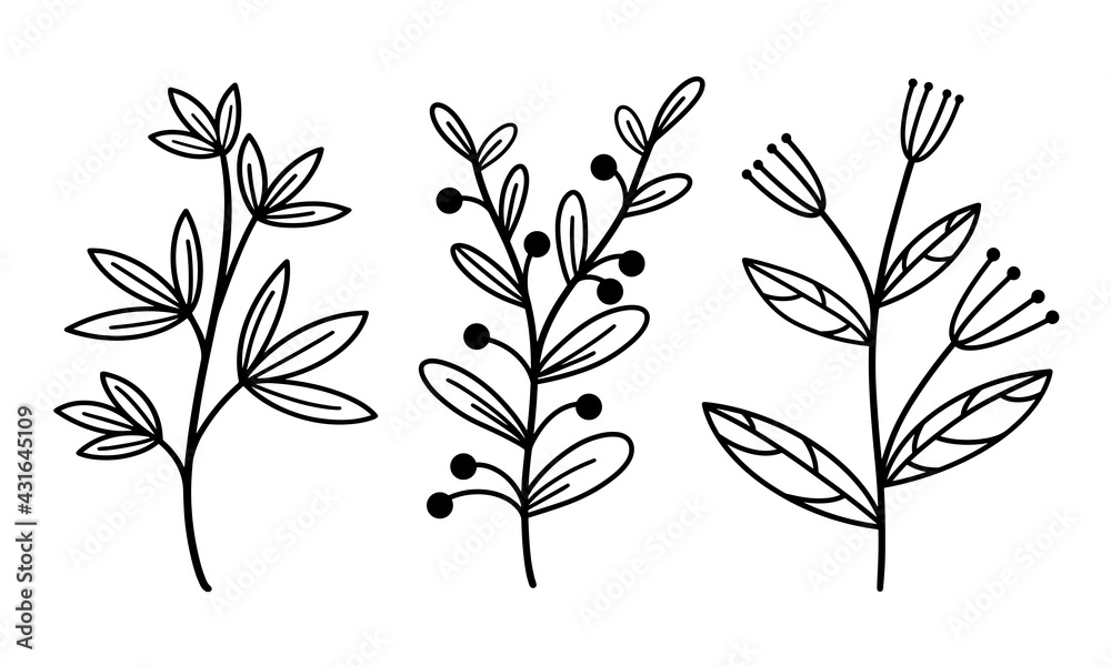 Set of vector elements of branches with leaves and herbs. Hand-drawn plants. Vintage botanical illustrations with berries and inflorescences. Isolated black outline, doodle.