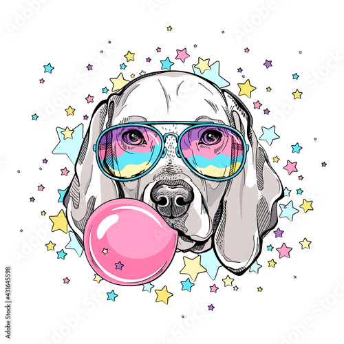 Cute weimaraner dog head on a background of stars. Image for printing on any surface	