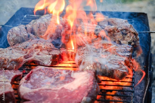 Summer nature grill bbq meat,  picnic spring. © bravissimos
