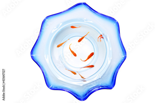 Schilderij op canvas 小さな赤い金魚と金魚鉢