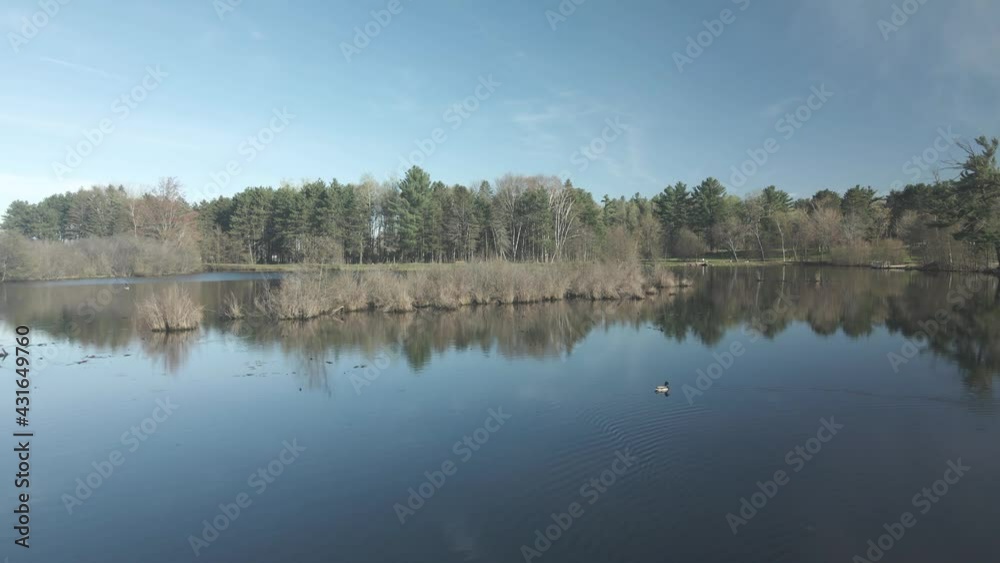Flying over a clear blue lake with wildlife on a sunny day. Flying over a clear blue lake with wildlife on a sunny day.