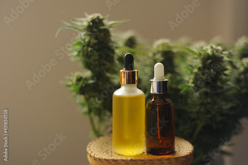 Marijuana oil, cbd recreation. Cosmetic bottle on fresh cannabis shrub background, close-up. Home relaxation, pastime therapy. Alternative cosmetology.
