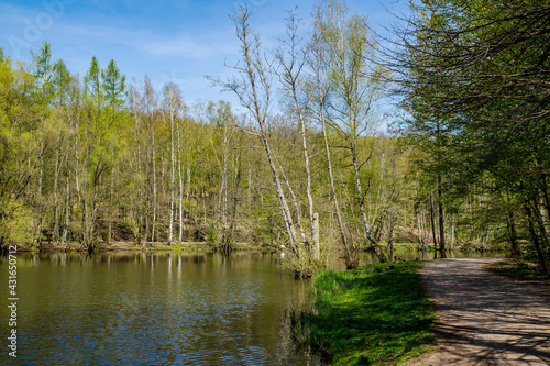 Obraz na płótnie Am Weiher w salonie