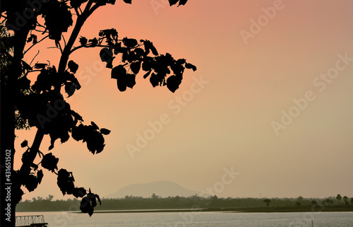 beautiful natural orange colour of a sky with a lake and tree shadow in the foreground