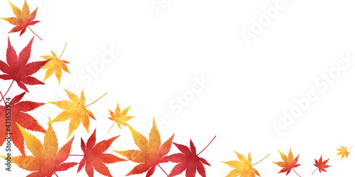 秋の紅葉のベクターイラストフレーム背景