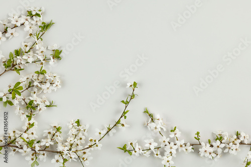 Spring flowers blooming on the table seen from above 