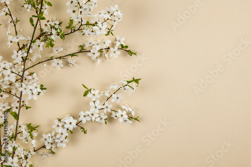 Spring flowers blooming on the table seen from above 