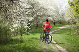 Beautiful woman on a bike in a blooming spring garden. Beautiful mature woman posing for the camera in a blooming spring garden. 