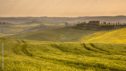 Wheat field tuscan village