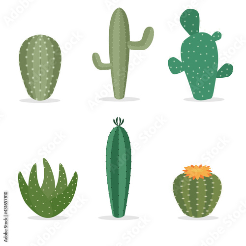 Cactus Collections Set
