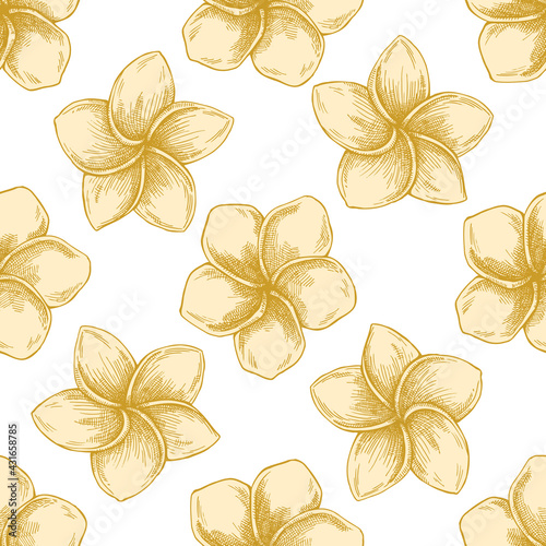 Seamless pattern with hand drawn pastel plumeria