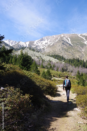 Jeune randonneur qui marche en montagne et dans la forêt avec sac à dos