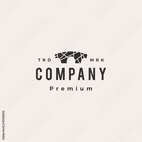 stone bridge hipster vintage logo vector icon illustration