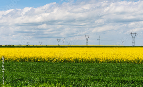 Obraz na płótnie Blühendes Rapsfeld mit Windkraftanlagen und Überlandstromleitungen im Hintergrund w salonie