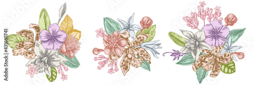 Flower bouquet of pastel laelia, feijoa flowers, glory bush, papilio torquatus, cinchona, cattleya aclandiae