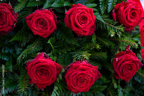 A wreath of red roses flowers against the background of the white and red Polish flag during funeral and patriotic ceremonies 