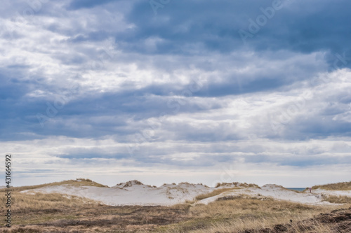 Dunes on Skallingen at the North Sea in rural western Denmark © Frankix