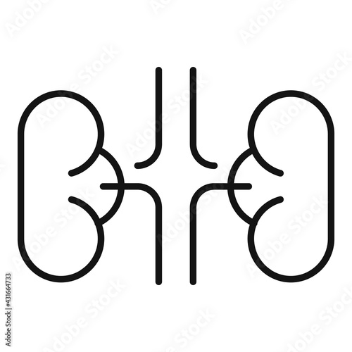 Hormones kidneys icon, outline style