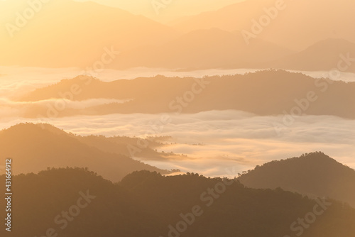 Fototapeta Naklejka Na Ścianę i Meble -  Morning mist at Phu Chi Fa, Northern Thailand.
