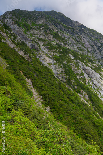 夏の北岳