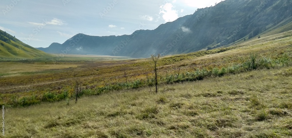 The beauty of Mount Bromo Tengger meadow
