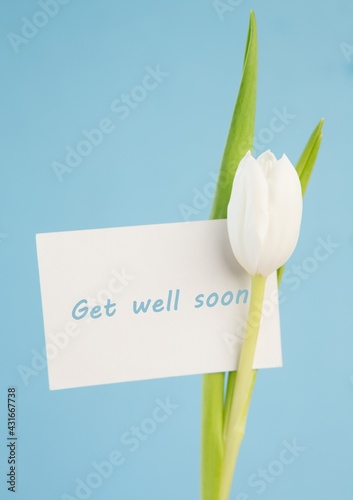 Composition of get well soon message card and white tulip on pale blue background