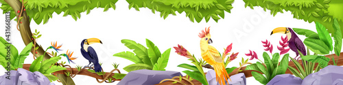 Jungle exotic birds border, tropical nature rainforest illustration, toucan, parrot, liana, banana leaf, rock. Summer Hawaii paradise background, flowers, vegetation, vine. Amazon jungle border design