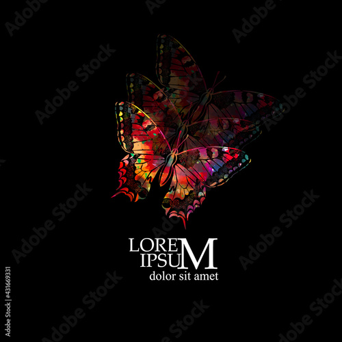 The abstract butterfly is multicolored. Butterfly on a black background. Flying butterfly trail . Vector illustration