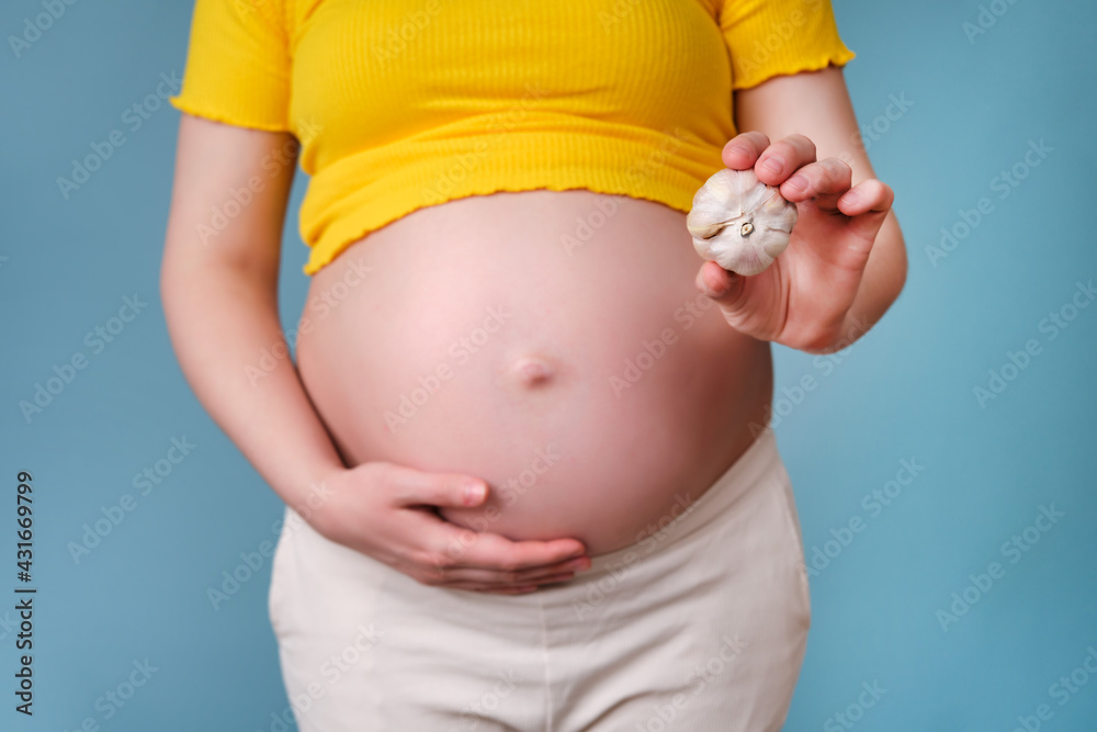 A garlic bulb in the hands of a pregnant woman on a blue background A garlic bulb in the hands of a pregnant woman on a blue background