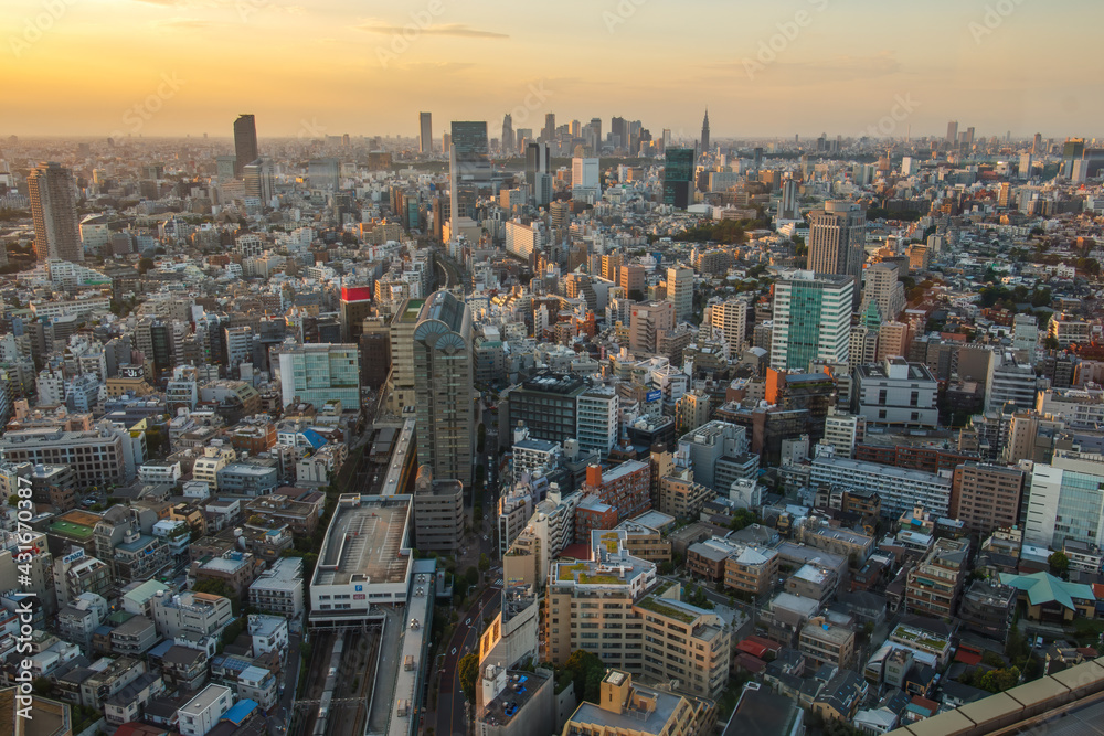 Cityscape of Tokyo skyline at sunset. Landmark of Japan