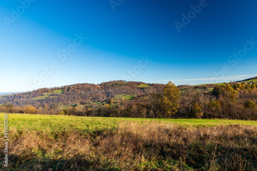 Autumn rolling landscape with smaller hills  meadow  forest and clear sky