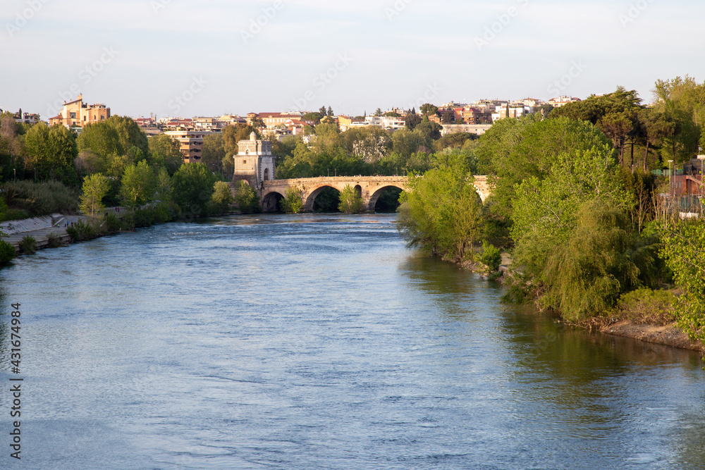 IL fiume tevere con il famoso ponte Milvio in lontananza