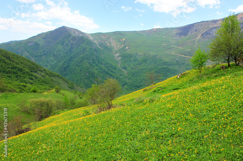 Beautiful fields in the mountains. The village of Gryzdakhnya. Guba region. Azerbaijan.